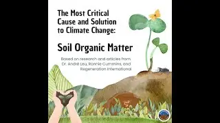 The Most Critical Cause and Solution to Climate Change - Regeneration International