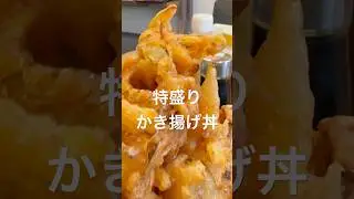 めしやっちゃん 特盛り かき揚げ丼 Super size Kakiage Don (Tempra rice bowl) 神奈川県逗子市グルメ 小坪漁港
