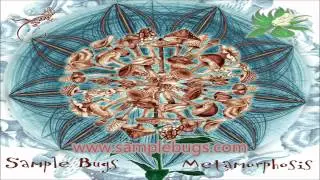 Sample Bugs - Fake Hard People (Official Channel) HD