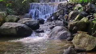 River Sleep Therapy | Soothing White Noise for Night Recovery