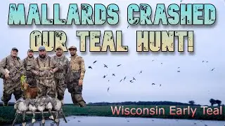 MALLARDS POURED INTO OUR TEAL OPENER HOLE! Duck Hunting 2022
