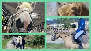 En fail fall video i 2024 og 2025 ❤️