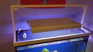 38g reef upgrade!