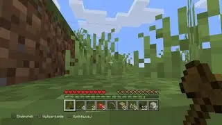 Poprostu Minecraft