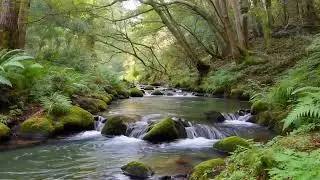 Relaxing River Sounds for Deep Sleep and Meditation, Gentle Flowing Water to Calm the Mind