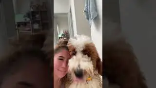 #trythischallenge