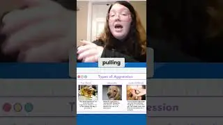 Why Dogs Show Aggression During Grooming