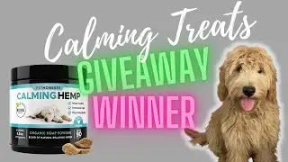 How to keep your dog calm during fireworks, Calming hemp treats for dogs, giveaway winner revealed!