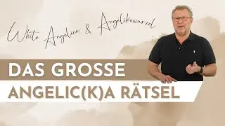 ANGELIKAWURZEL (Angelica) & WHITE ANGELICA - DAS IST DER UNTERSCHIED | &Auml;therische &Ouml;le im Vergleich