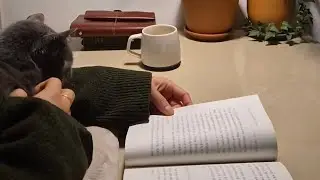 출근 전, 📚 독서와 ☕️ 커피타임 함께해요.🤍