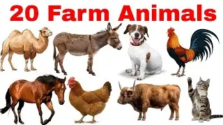 20 Farm Animals Name in Hindi & English | पालतू / खेत के जानवरों के नाम | Farm Animals Name for Kids