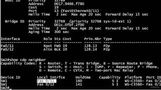 143 STP Root Election On Non Root Bridge