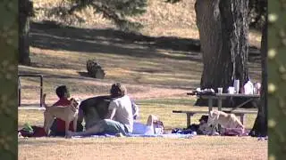 Lyme Disease - A Ticking Time Bomb