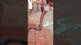 అదృష్ట రత్నం తో కాలసర్పయోగము Adrushta Ratnam - Adrustar Ratnam What is Adrusta Rathnam