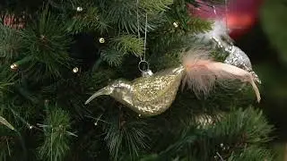 Set of (6) Mercury Glass Feather Tail Bird Ornaments on QVC