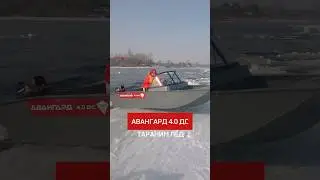 ЛОДКА ИЛИ ЛЁД. ЧТО КРЕПЧЕ. АВАНГАРД 4.0 ДС. 
