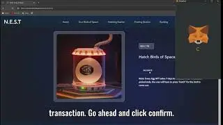 NEST Demo | How to Use NEST | Incubate Eggs in NEST | Hatch Egg NFTs