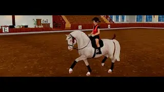 ~{SSO}~ Dressage Tryouts with Club!
