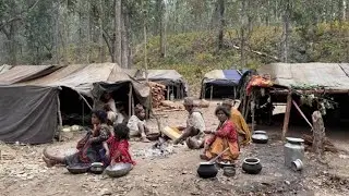 The Last Nomadic Tribe of Nepal || Nepal  Last  Nomad : Raute  Tribe Rural Village || chapter -6