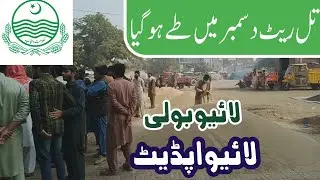Final rate in December | Till rate today | Tilli rate | Galla mandi update today