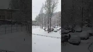 Огромные хлопья снега., чтобы загадывать желания на снежинки. #эзотерика #погода  #магия #снег