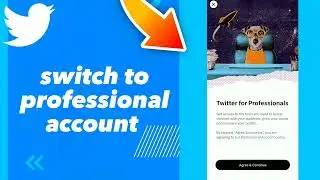 How To Switch To Professional Account On Twitter App 2023