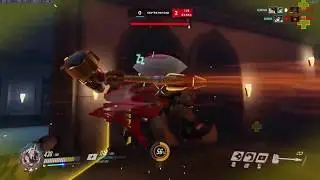 Lunar Dragon Pugs