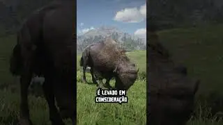 ONDE ENCONTRAR O BIS&Atilde;O - RED DEAD REDEMPTION 2  #rdr2 #playstation #games #gameplay #gta #gamer