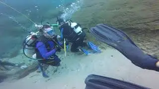 Crystal River Drift Dive