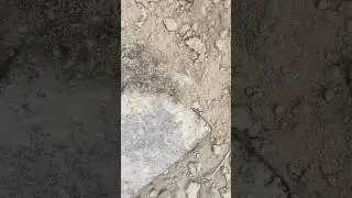 Mud scraping sound