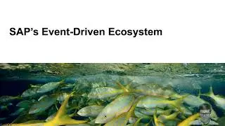 SAP&rsquo;s Event-Driven Ecosystem - ASAPIO Symposium 2022