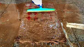 Horrible dirty beautiful carpet cleaning satisfying ASMR carpet cleaning