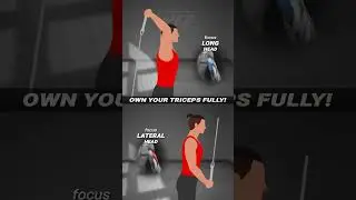 🔥 TRICEPS TAG TEAM: 2 EXERCISES &rarr; 100% ACTIVATION! #animation #fitness #gym #tips
