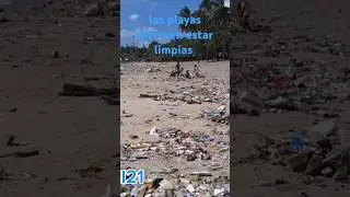 Reciclando Conciencias en la playa