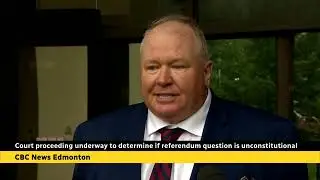 Judge to determine if referendum question is constitutional