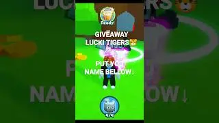 Giveaway Lucki Tiger🎁✨
