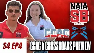2026 Chicagoland & Crossroads Softball Picks & Preview