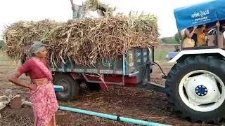 farming life