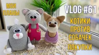 VLOG #61 Котики против собачек. Мои планы. Покупки