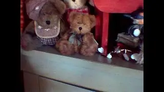 Boyd's Bears