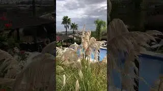 Spain, Manilva, Duquesa Golf Club & Marina