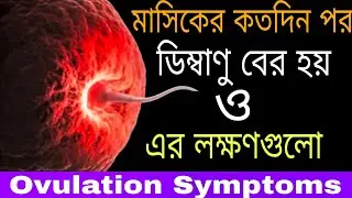 How many days after menstruation does the egg come out || Ovulation symptoms || Ovulation Symptom...