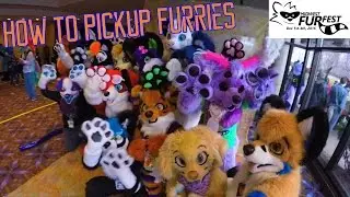 How to pickup furries - MFF 2016
