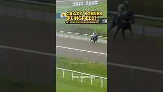😱CRAZY SCENES at Lingfield just now!