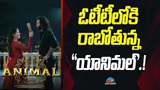 Animal Movie OTT Release Date | Ranbir Kapoor, Sandeep Reddy Vanga || @NTVENT