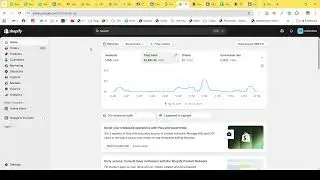 Shopify Store. I will set up and manage your facebook ads, instagram ads, and meta ads campaigns