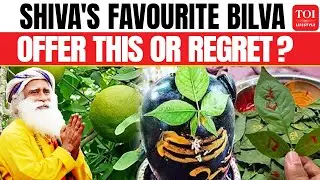 Why Is the Bilva Leaf Revered for Centuries? | Sadhguru&rsquo;s Fascinating Answer on Shiva Sadhana