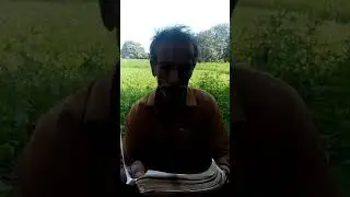 Sindhi talent