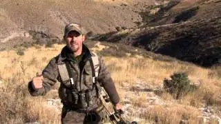 Блочный лук BEAR ARCHERY ATA REEL