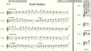 B Flat Scale Pattern- 121314 etc.-Tenor Sax